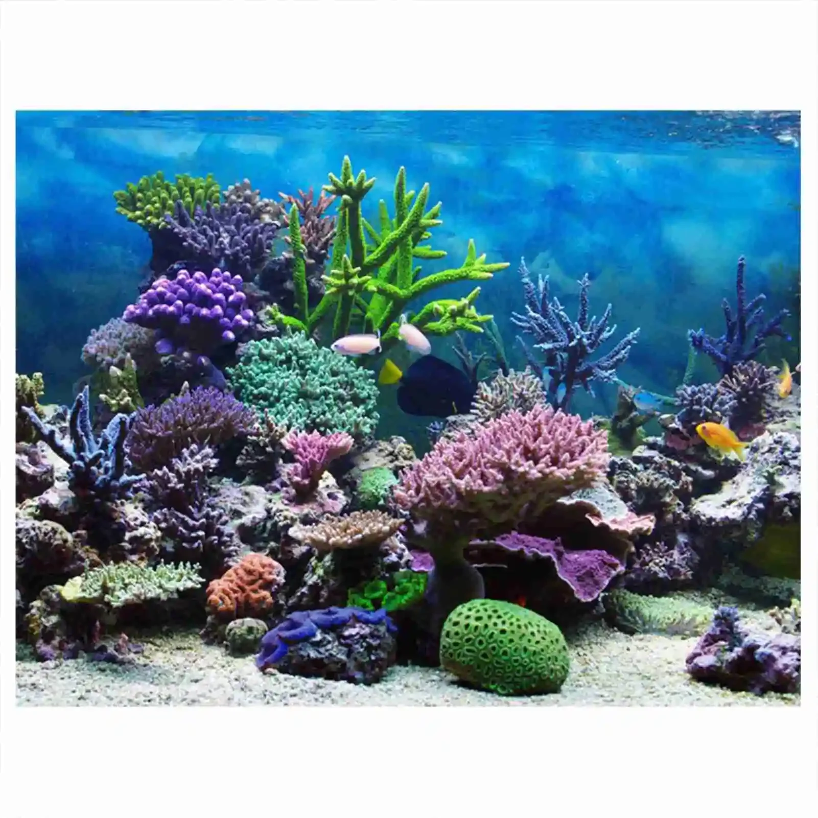 Marine Aquarium Glue - ملصق ثلاثي الأبعاد لحوض السمك منظر