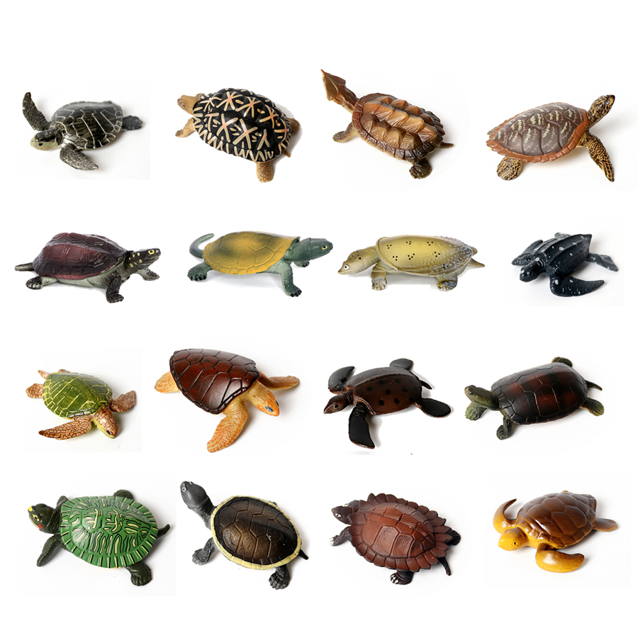 Marine Life Aquariums - نموذج سلحفاة بحرية للحياة البحرية ،