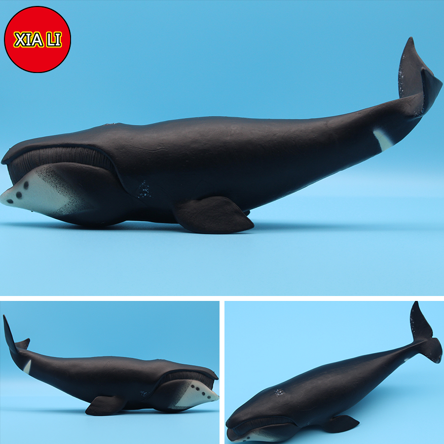 مجسمات حيوانات بحرية محاكية لل - مراجعة Marine Life Aquariums وسعره