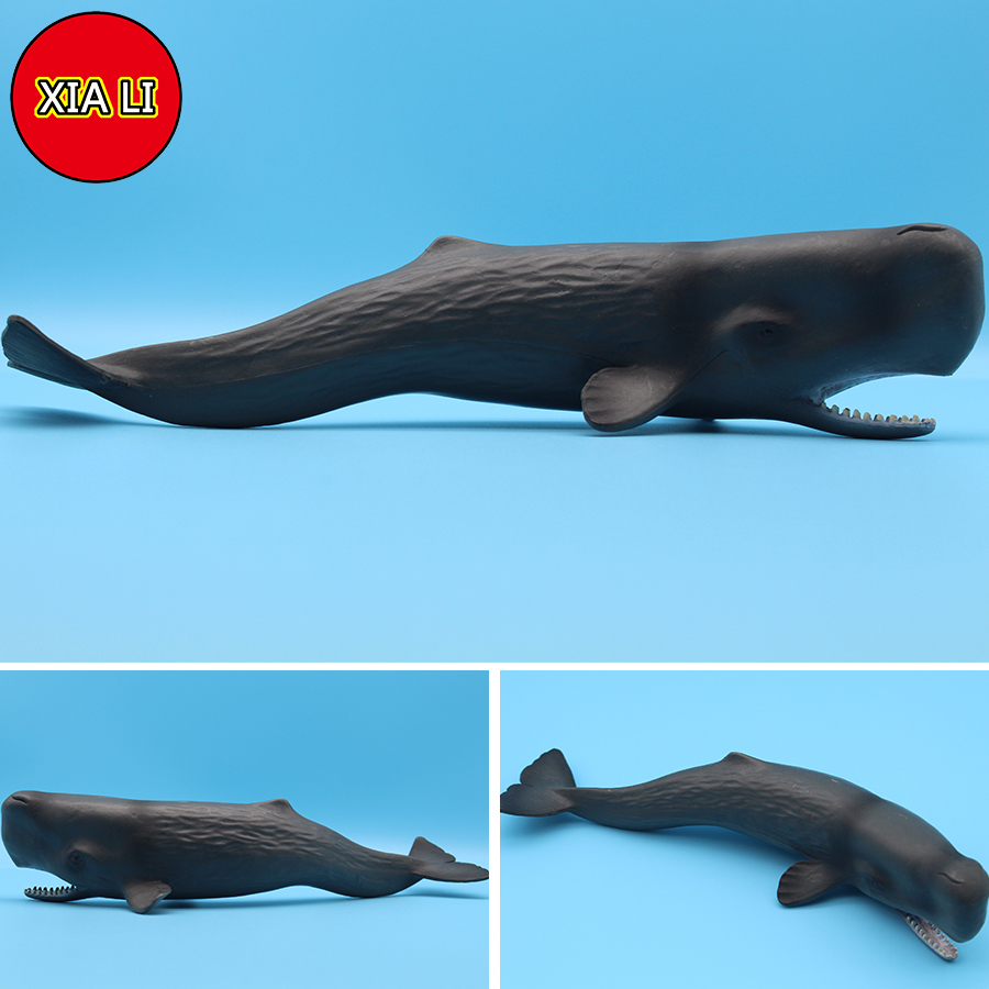 مجسمات حيوانات بحرية محاكية لل - مراجعة Marine Life Aquariums وسعره