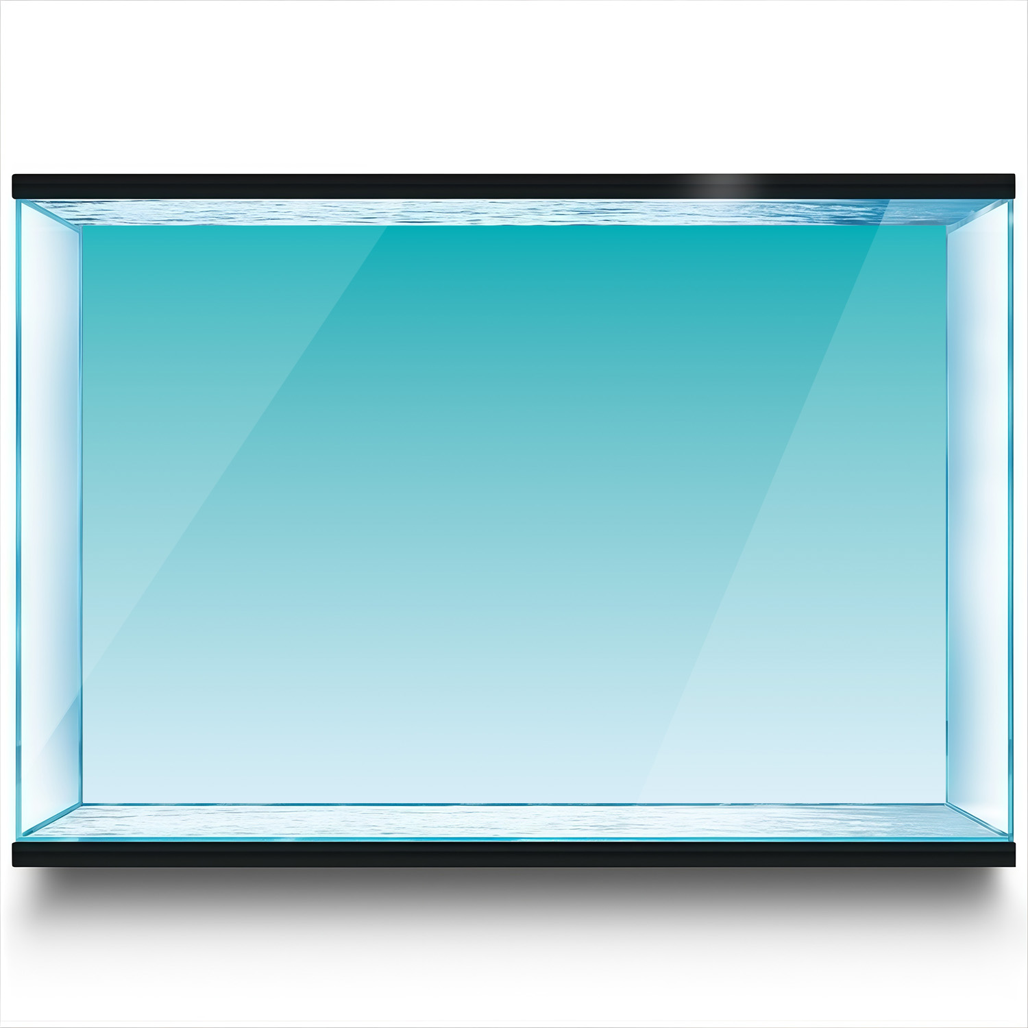 خلفية حوض السمك بتدرج اللونين  - مراجعة Marine Aquarium Glue وسعره