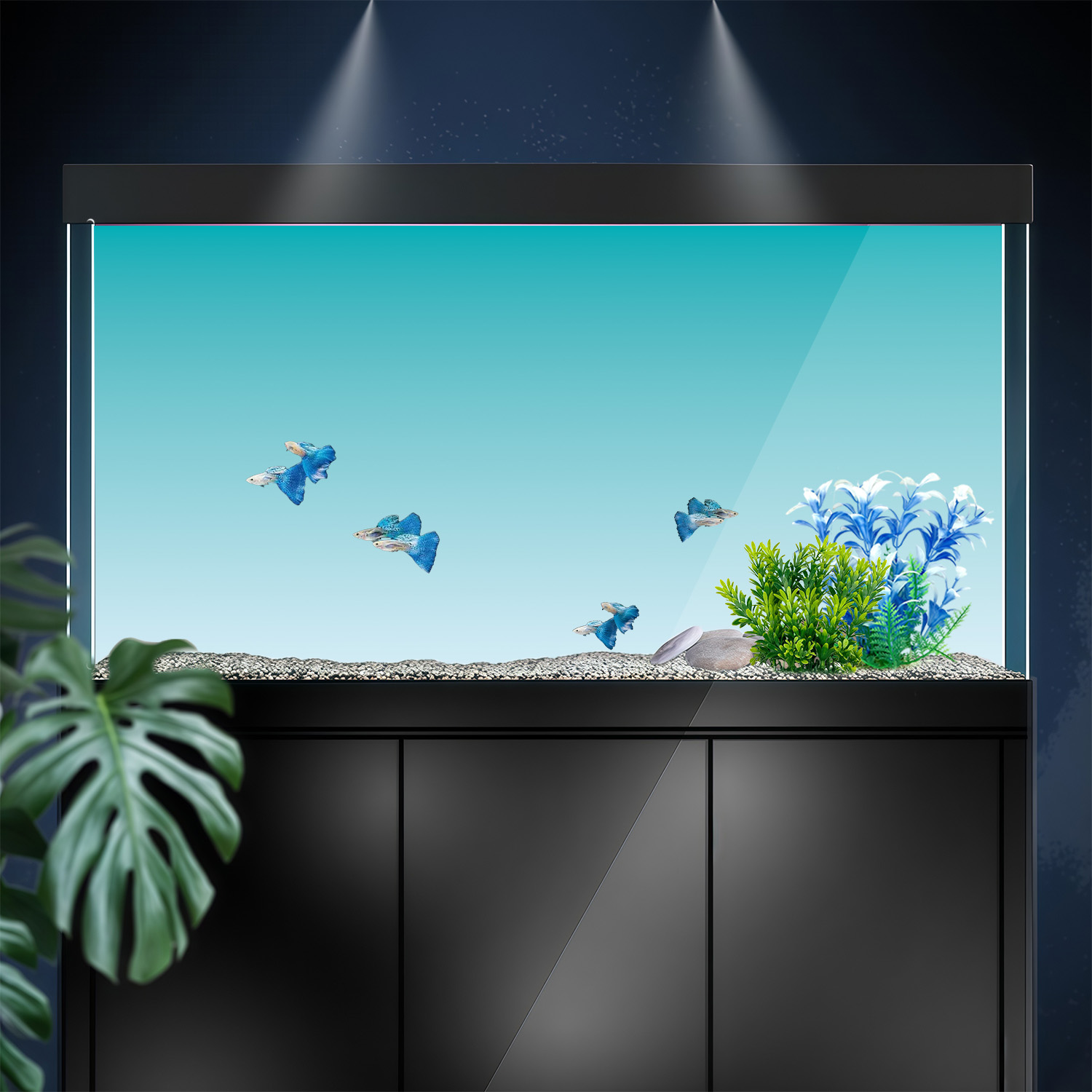 خلفية حوض السمك بتدرج اللونين  - مراجعة Marine Aquarium Glue وسعره