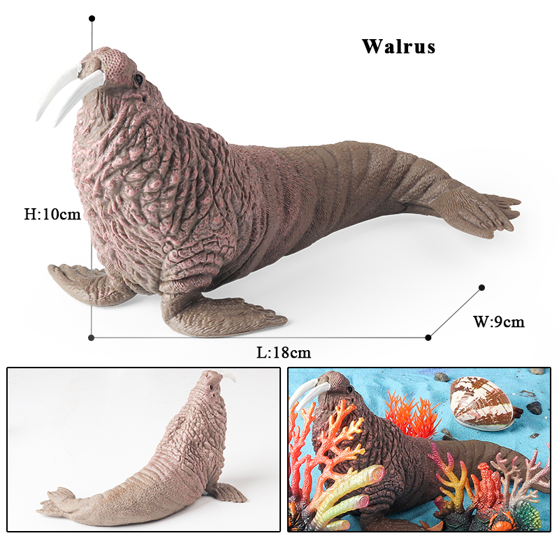 نموذج حيوانات بحرية جديد من Oe - مراجعة Marine Life Aquariums وسعره