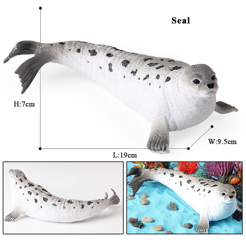 نموذج حيوانات بحرية جديد من Oe - مراجعة Marine Life Aquariums وسعره