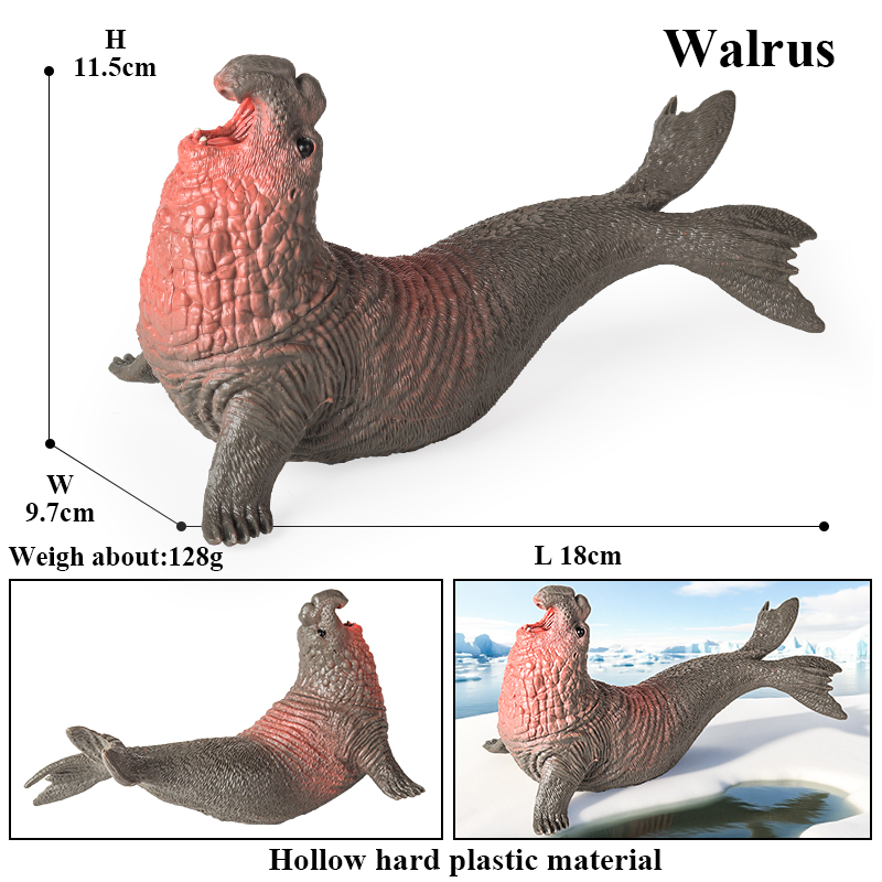 نموذج حيوانات بحرية جديد من Oe - مراجعة Marine Life Aquariums وسعره