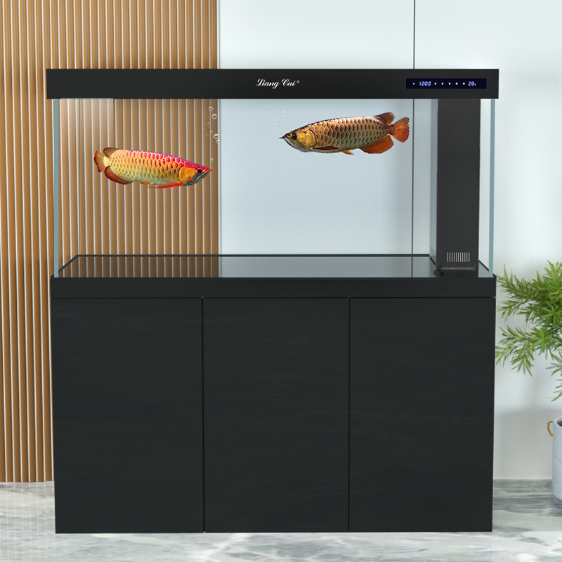 حوض سمك زجاجي عصري فائق الوضوح - مراجعة Marine Life Aquariums وسعره