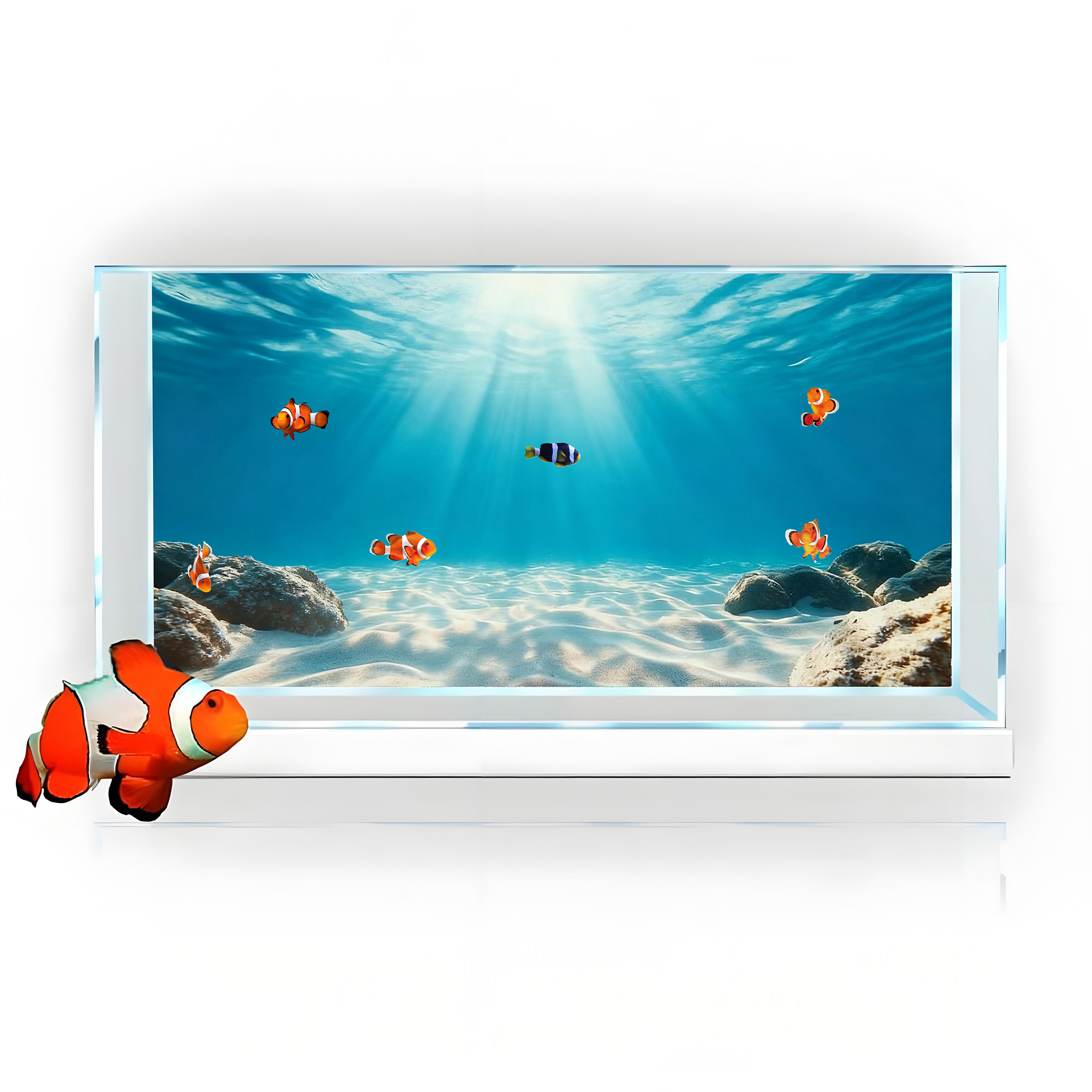 رمل بحري أزرق شفاف، لوحة خلفية - مراجعة Marine Aquarium Glue وسعره