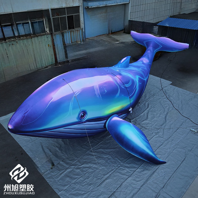 حوت أزرق قابل للنفخ، يستخدم كق - مراجعة Marine Life Aquariums وسعره