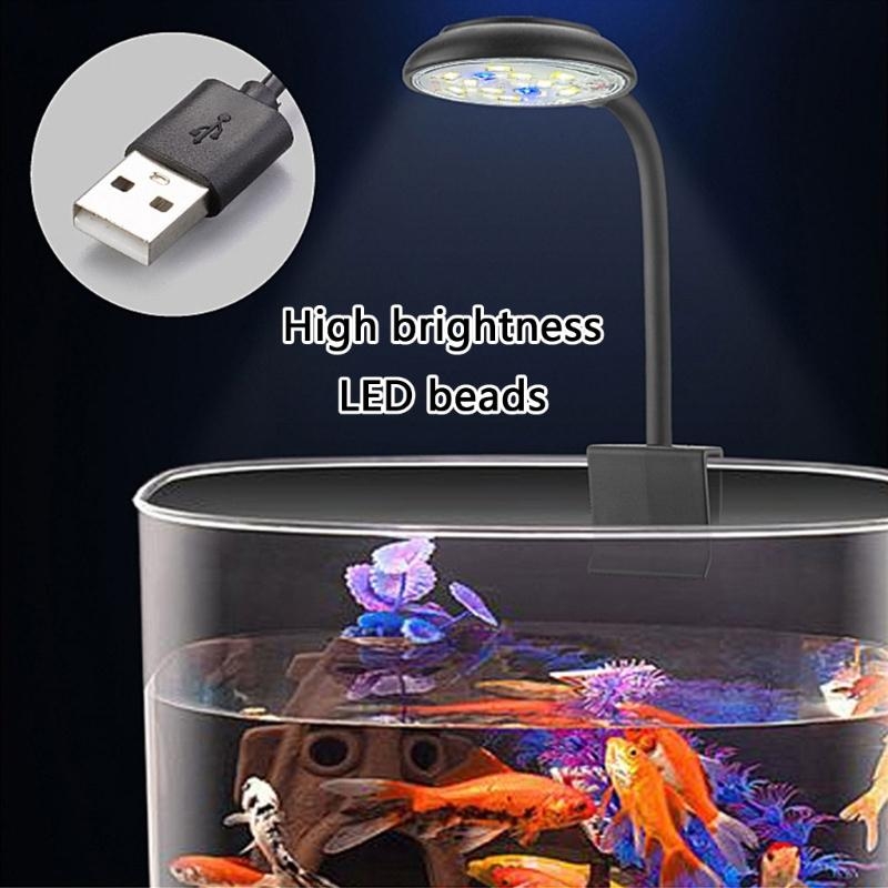 تعديل السطوع LED APORIUMS LIGH - مراجعة Marine Life Aquariums وسعره