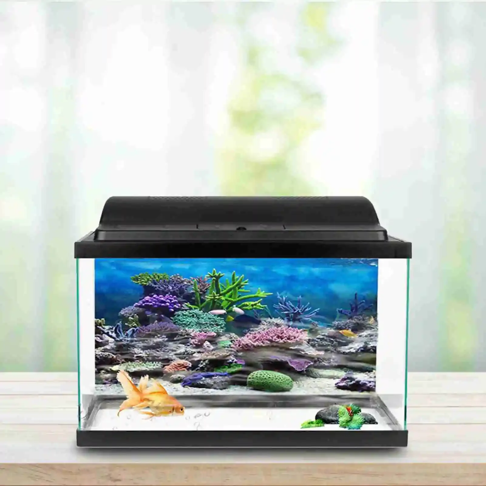 ملصق ثلاثي الأبعاد لحوض السمك  - مراجعة Marine Aquarium Glue وسعره