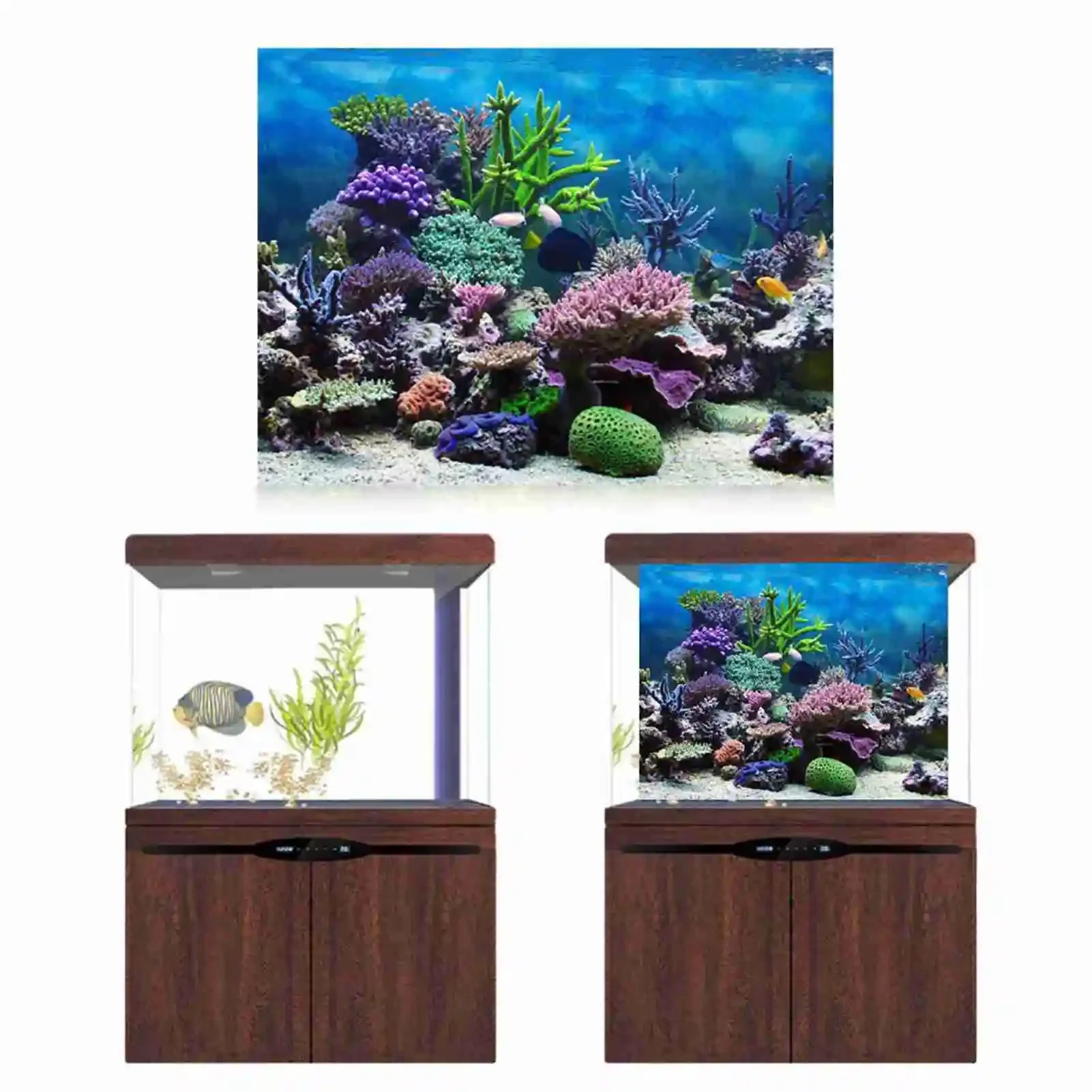 ملصق ثلاثي الأبعاد لحوض السمك  - مراجعة Marine Aquarium Glue وسعره